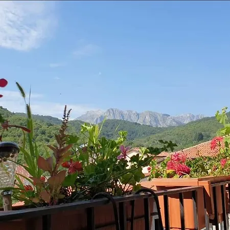 Coletti Pietro Snc *