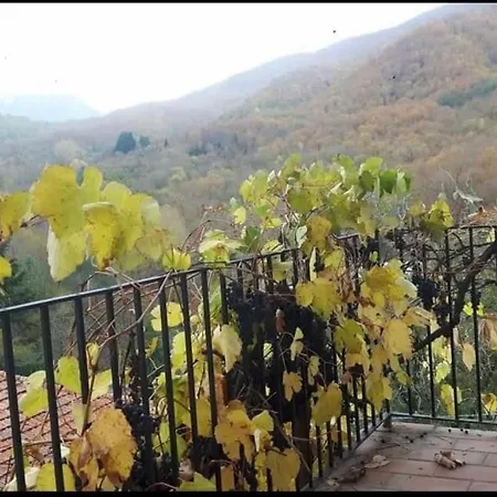 Coletti Pietro Snc Fabbrica