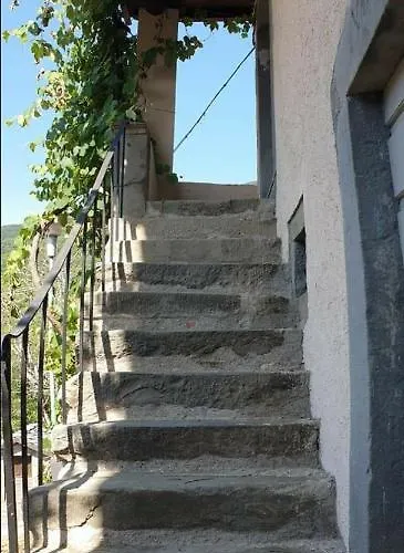 Coletti Pietro Snc * Fabbrica