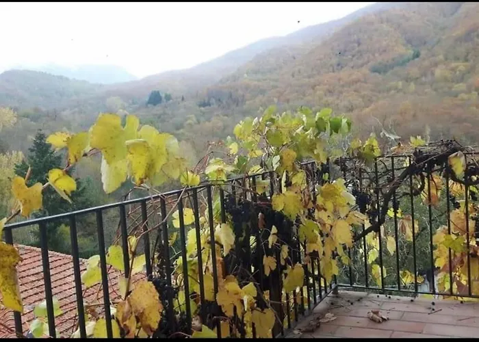 Coletti Pietro Snc Fabbrica
